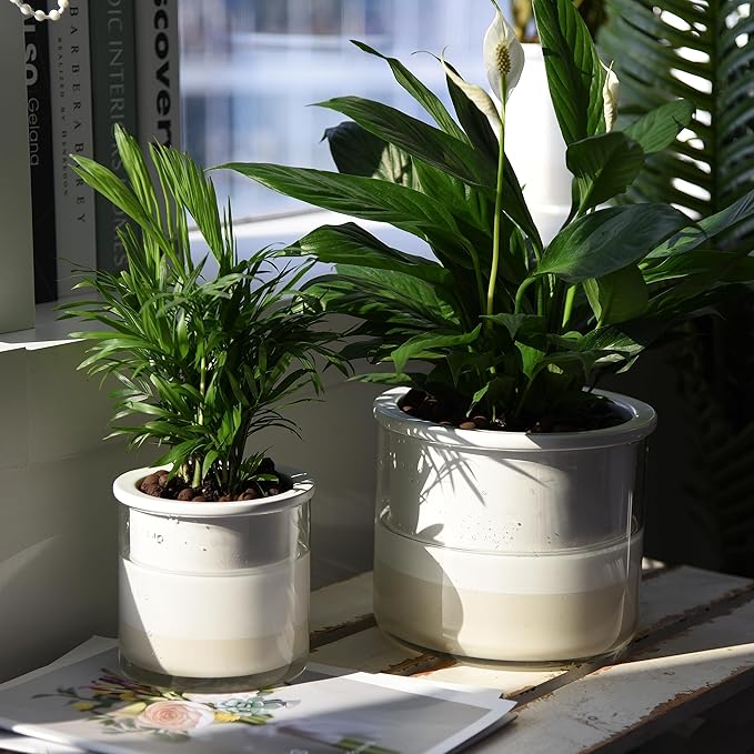 Phoenix Vine 6 Inch 4 Inch Self Watering Planter Pots, Design White Terracotta Pots for Plants, Indoor Cylinder Terra Cotta Pots with Glass Vase Set, 51-B-G-46