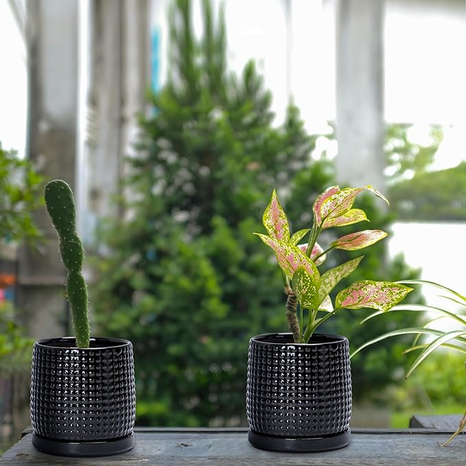D'vine Dev Set of 2 Ceramic Plants Pots, 4 Inch Beaded Stoneware Flower Pot for Plants with Drainage Hole and Saucer, Glossy Black, 27-E-Z-2