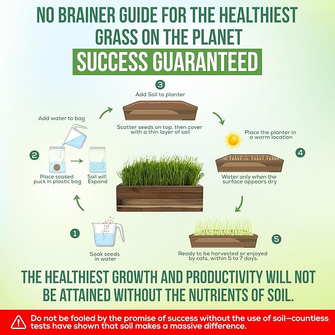 Cat Grass for Indoor Cats Kit – Organic & Handcrafted Cedar Planter with Fast-Growing Wheatgrass for Cats, Hairball Remedy with Pet-Friendly Planter (Natural)