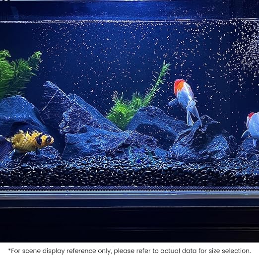 SIDONG 10 LB Black River Rocks, 0.3-0.5 Inches High Polished Pebbles for Indoor Plants, Aquarium Rocks Used in Fish Tank, Decorative Stones for Plants, Vases, Home Décor, Crafting, Garden Landscaping