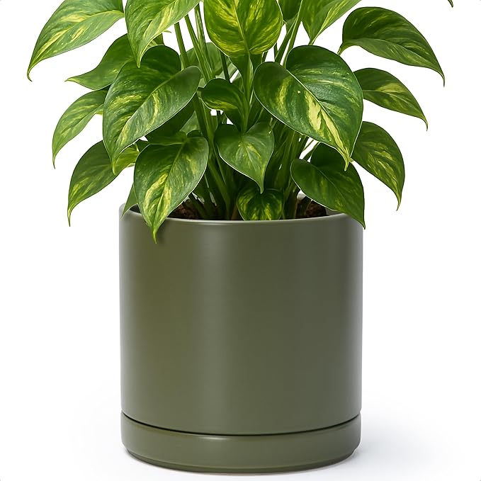 D'vine Dev 8 Inch Ceramic Planter Pot with Drainage Hole and Saucer, Indoor Cylinder Round Planter Pot, Olive, 94-O-D-J