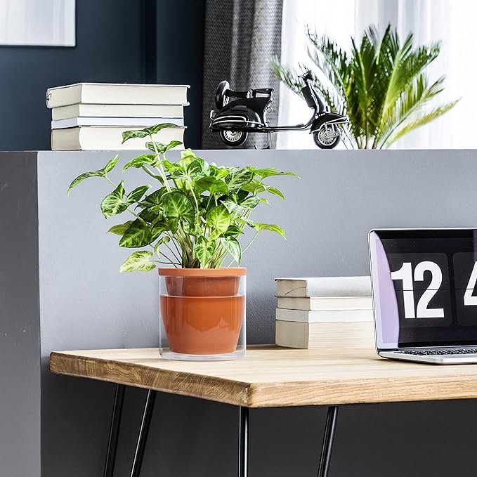 D'vine Dev 6 Inch Design Self Watering Pot for Indoor Plants, Terracotta Planter with Cylinder Glass Cup, Set of 2, 37-X-B-2