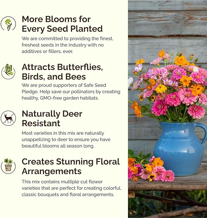 Eden Brothers Orange Sherbet Flower Mixed Seeds for Planting, 5 lb, 2,400,000+ Seeds with Cosmos Picotee, Bright Lights | Attracts Pollinators, Plant in Spring or Fall, Zones 3, 4, 5, 6, 7, 8, 9, 10