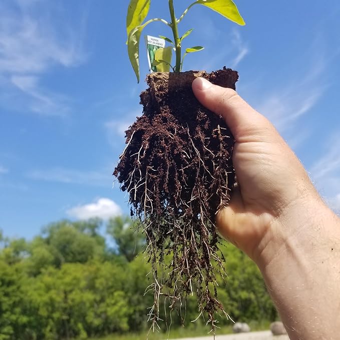 Daniel's Plants 4" Naked Pots | Large Natural Plantable Seed Starter Pots | OMRI-Listed Biodegradable Pots for Seedlings | Enhanced Aeration | Earth Friendly - Peat Free | 30 Pack 4 Inch Round