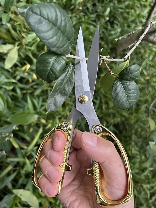 Japanese Garden Clippers, Houseplant plant shears, Floral Pruner Botanical Flower Stem scissors, Gardening Shears with Straight Stainless Steel Blades, Easy Use Garden Tools (golden-k26)
