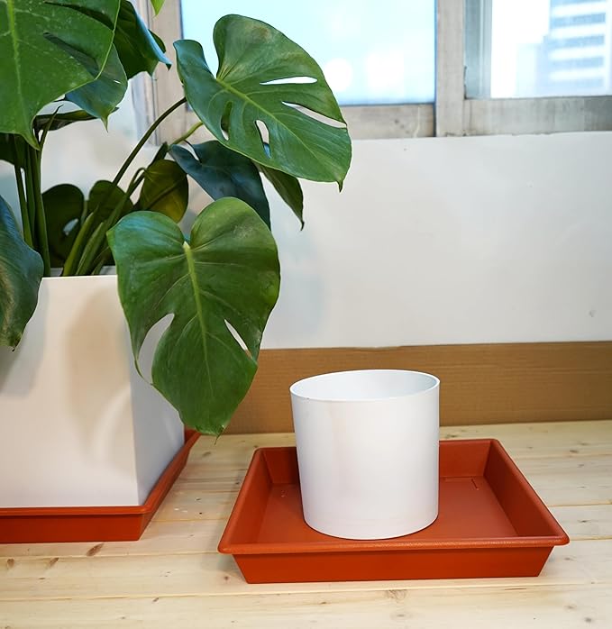 Square Plant Saucer 8 Inch 5 Pack, Plant Stand Plant Trays for Pots Heavy Duty Plastic Plant Saucers for Indoors Outdoors, Flower Pot No Holes Terracotta Plant Lover Gardening Gifts