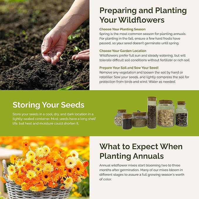 Eden Brothers Orange You Glad Flower Mixed Seeds for Planting, 1/4 lb, 120,000+ Seeds with Dahlia, Double Strawflower | Attracts Pollinators, Plant in Spring or Fall, Zones 3, 4, 5, 6, 7, 8, 9, 10