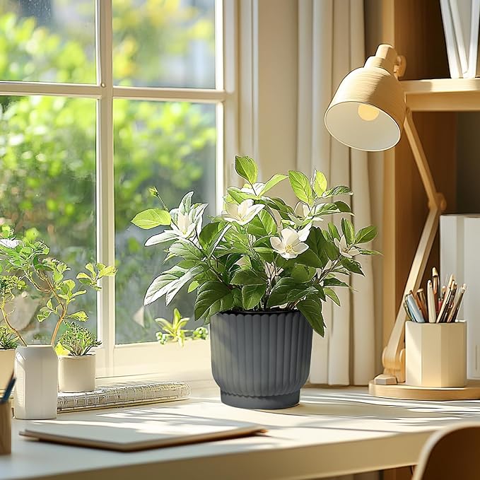 T4U 6 Inch Self Watering Pots for Indoor Plants, 6 Pack Planters for Indoor Plants, Durable Plastic Charcoal Gray Pots for Indoor Plants, African Violets, Flower