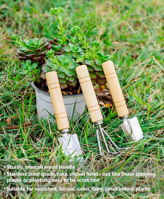 Plant Repotting Mat, 5Pcs Succulent Tools Mini Garden Small Gardening Tools Indoor, Pruning Shear Gardening Scissor, Hand kit for Bonsai, Cactus, Fairy, Houseplant Transplanting, Seedling