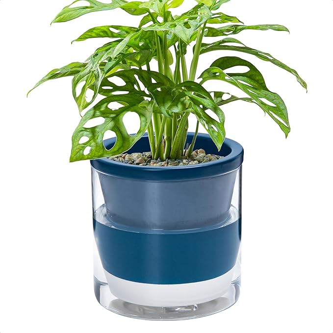 D'vine Dev 6 Inch Design Self Watering Planter for Indoor Plants, Blue Terracotta Pot with Cylinder Glass Cup, 37-X-B-4