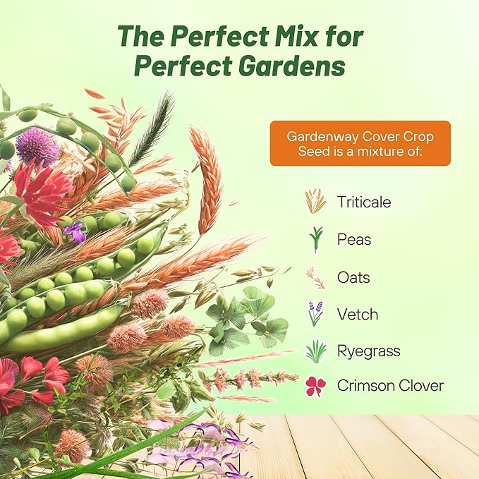 Outsidepride Gardenway Cover Crop Seeds - 25 lbs Nutrient-Rich Seed Mix for Soil Health Improvement & Home Gardens - Mixture of Triticale, Peas, Oats, Vetch, Annual Ryegrass, Crimson Clover
