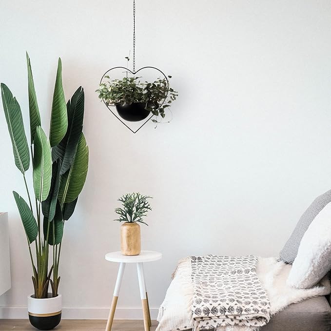 Hajia 1 Pack Heart Shaped Hanging Plant Holder with 7.5inch Detachable Pot, Black Metal Modern Hanging Planter for Indoor Outdoor, Minimalist Wall Ceiling Plant Hanger for Home Wedding Decor