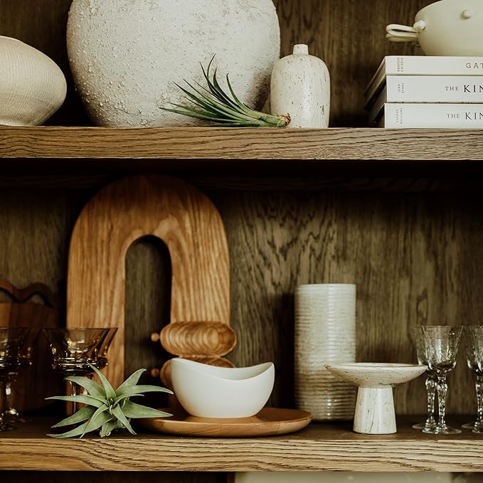 Air Plants Bulk - Tillandsia Variety Wholesale Pack, Regular 1-3" - 50ct - Live Arrival Guaranteed - House Plants for Home Decor & Gift