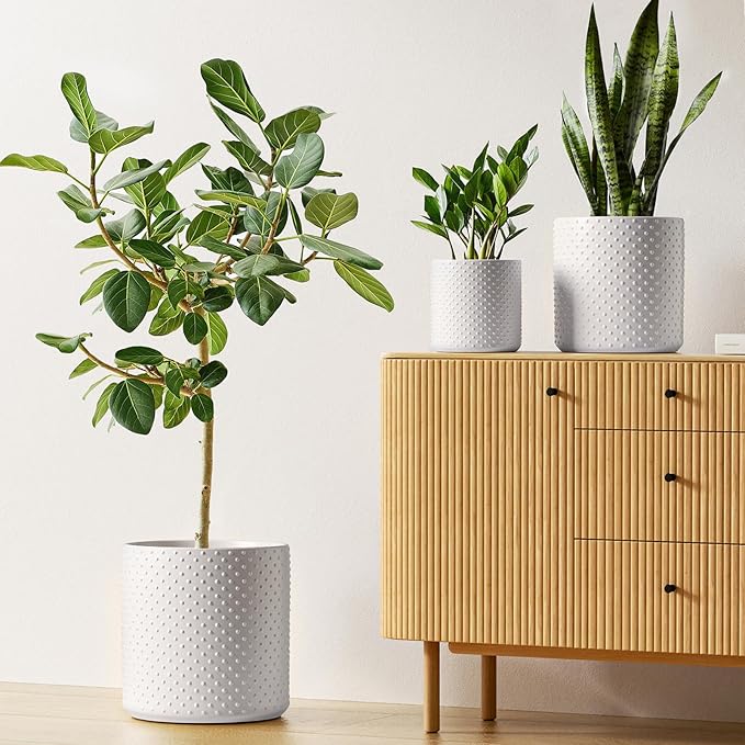 LE TAUCI Ceramic Plant Pots Indoor, 10+8+6 Inch Planters for Indoor Plants, Raised Dots Flower Pots with Drainage Hole and Plug, Cylinder Round Planters, Set of 3, White