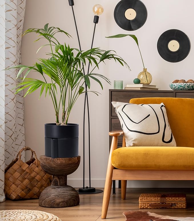 Phoenix Vine 8 Inch Self-Watering Planter Pot with Terracotta Insert, Deep Water Reservoir, and Ceramic-Alike BPA-Free Plastic Planter Pot for Plant, Modern Planter for Houseplants, Black, 53-A-T-2