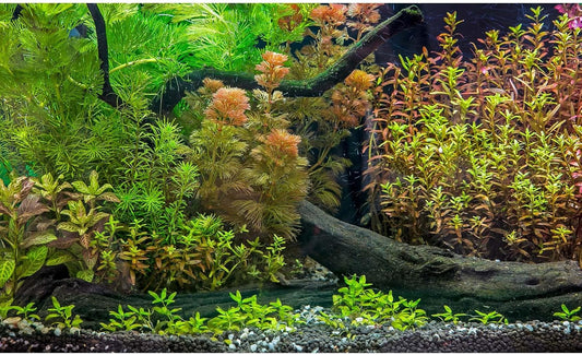 Aquarium Background Underwater Grass Leaves with Pebbles Exquisite Fish Tank Background Vivid Green Aquatic Plant Stone River Bed Fish Dead Wood Fresh Leaves Tank Background Decors 36x18in