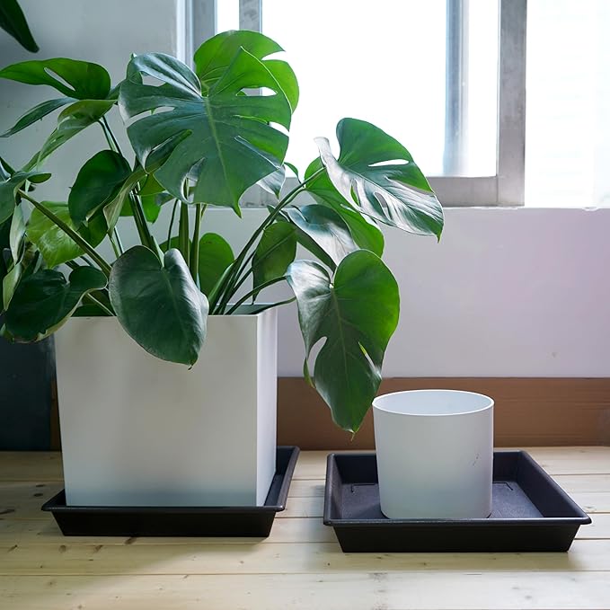Square Plant Saucer 20 Inch 2 Pack, Large Plant Trays for Pots Heavy Duty Plastic Plant Saucers for Indoors Outdoors, Flower Pot No Holes Plant Lover Gardening Gifts