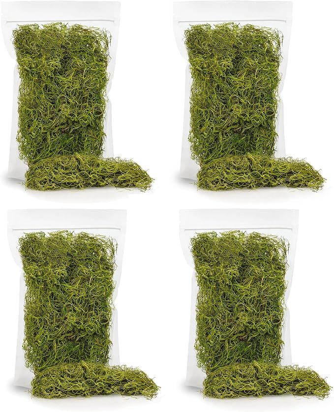 Premium Spanish Moss in Spring Green| Natural Preserved - 20 Quart - Great Ground Cover - Filler for Potted Plants - by GARDENERA (4 Bags of 5 Quart)