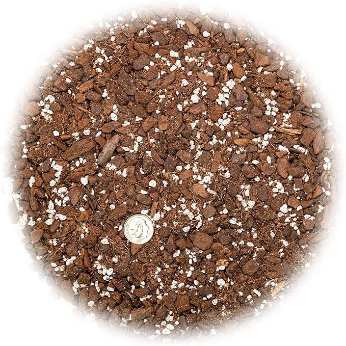 Premium Monstera Potting Soil - Quick Drain Potting Soil for Growing and Repotting Monstera Deliciosa/Swiss Cheese Plant - 2 Quart Bag