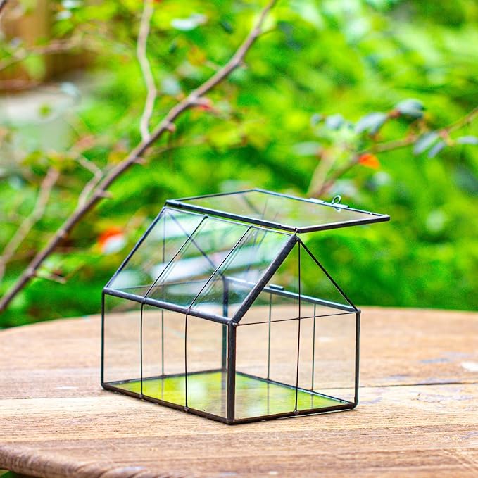 NCYP Mini Glass Terrarium with Lid - 6.1" x 4.25" x 4.92" House Shape Closed Planter Pot for Small Cactus, Succulents Plant - Home Garden Office Tabletop Geometric Decor, Black (Terrarium Only)