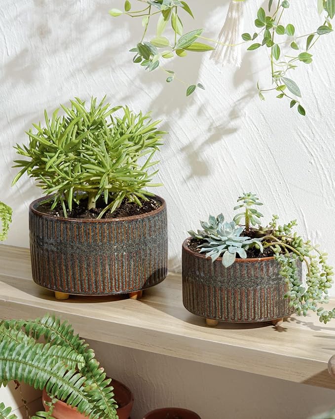 LE TAUCI Succulent Pots, 6.5+8 Inch Ceramic Indoor Plant Pot with Drainage Hole, Modern Round Decorative Flower Pot, Set of 2, Reactive Glaze Black