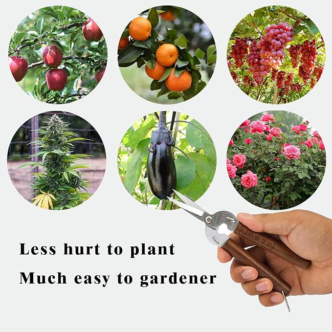 Razor Sharp Pruning Shears for Gardening, Garden Shears Carbon Steel Blade, Precision garden scissors Walnut Wood handle, 6.8” Garden Snips for Trimming Fruits, Vegetables, Flowers, Buds, Bonsai