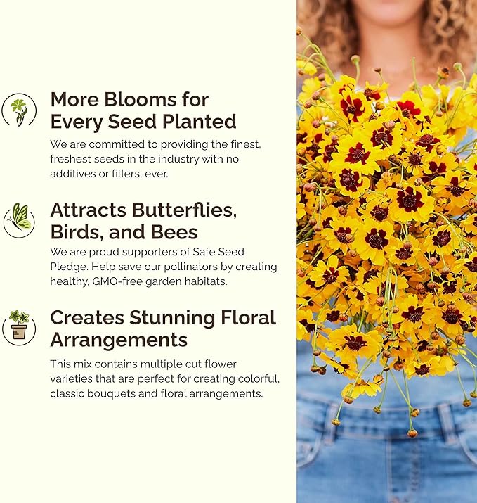 Eden Brothers Orange You Glad Flower Mixed Seeds for Planting, 1/4 lb, 120,000+ Seeds with Dahlia, Double Strawflower | Attracts Pollinators, Plant in Spring or Fall, Zones 3, 4, 5, 6, 7, 8, 9, 10