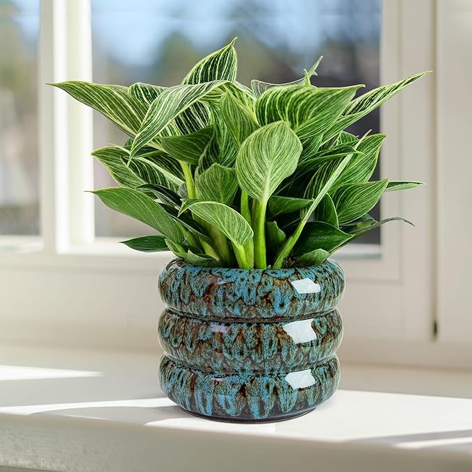 Ceramic 6 inch Plant Pot - Planter for Indoor Plants with Drainage Hole, Flower Pots for Orchid, Succulent,Outdoor Plants, Modern Glaze Planters for Home Office Decor Gift