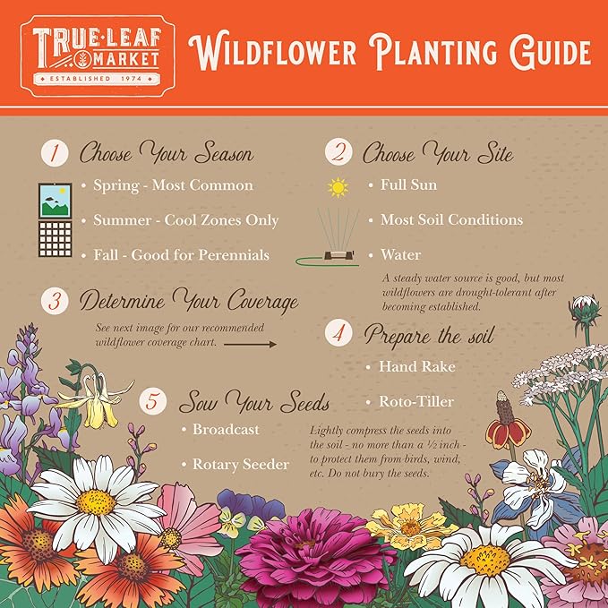 Northeastern Wildflower Seeds Bulk – 1/4 lb, 160,000+ Seeds – Native Northeast Wildflower Mix – Annual & Perennial Flower Seed for Planting – Pollinator-Friendly Garden Mix