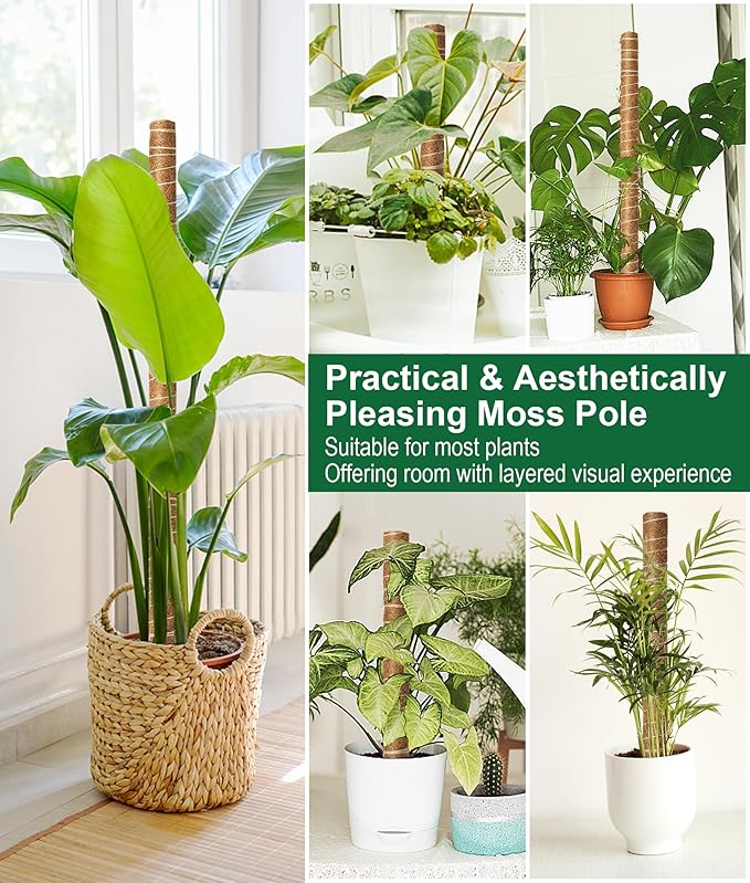 EAONE Moss Pole 126 Inch, 6 Pack 21" Monstera Plant Support for Climbing Potted Live Plants Indoor, Stackable Coco Coir Moss Sticks Monstera Stakes for Pothos Philodendron, with Garden Labels & Ties