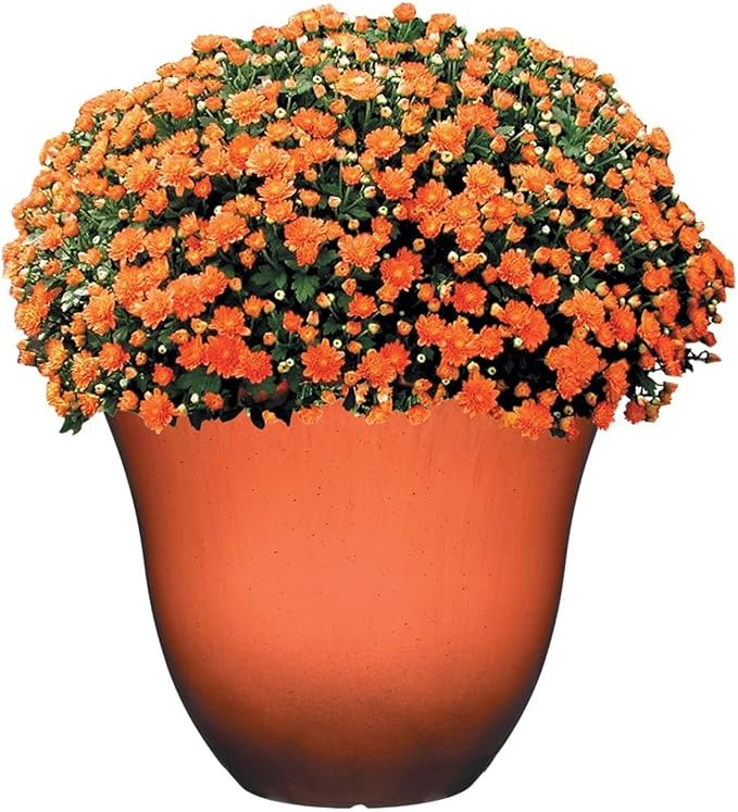 Classic Home and Garden Honeysuckle Resin Flower Pot Planter, Orange Ember, 15"