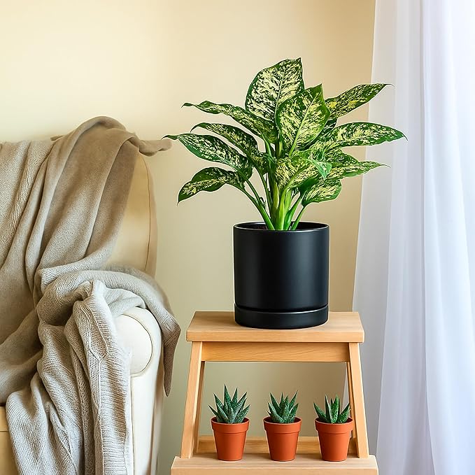 D'vine Dev Set of 2 Plants Pots, 8 Inch Ceramic Planter Pot for Plants with Drainage Hole and Saucer, Black, 94-V-D-2