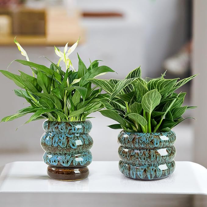 Ceramic 6 inch Plant Pot - Planter for Indoor Plants with Drainage Hole, Flower Pots for Orchid, Succulent,Outdoor Plants, Modern Glaze Planters for Home Office Decor Gift