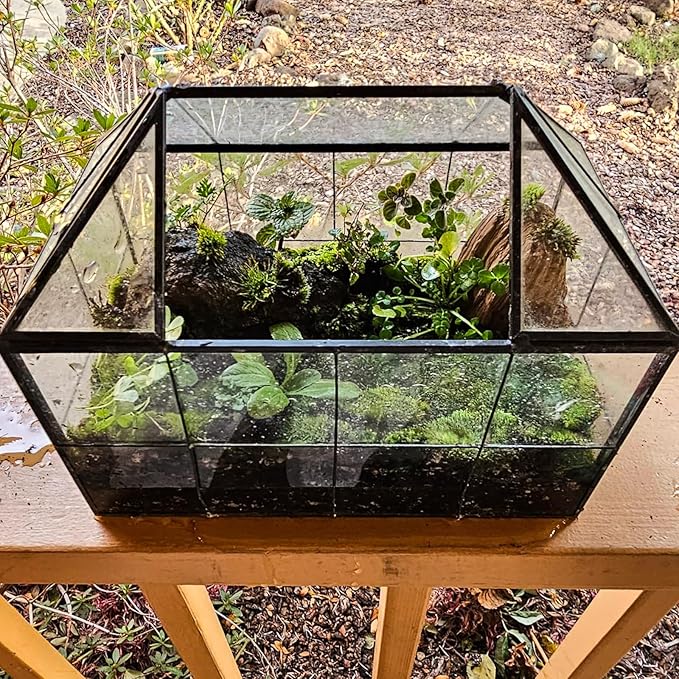 HighFree Geometric Terrarium Planter with Swing Lid, House Shape Black Handmade Glass Box, Vintage Tabletop Miniature Terrarium, for Succulent, Cacti, Air Plants (Not Watertight - 9.2x5.5x7.3 inch)