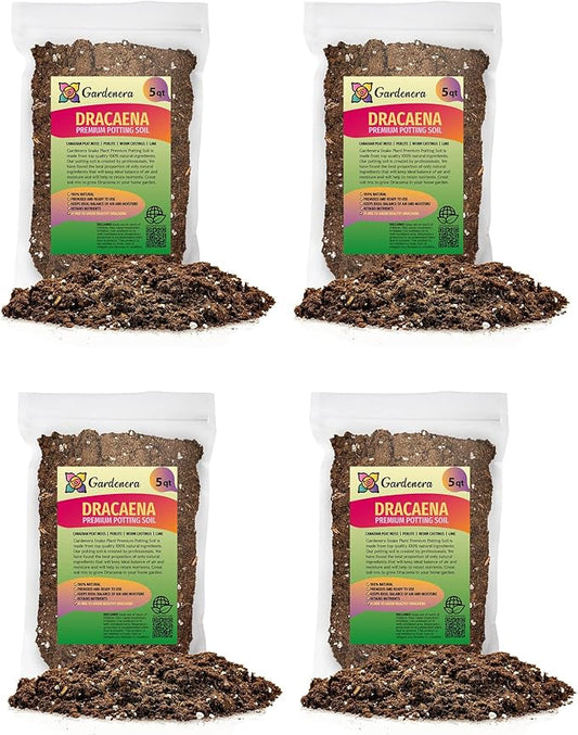 Premium Dracaena Potting Soil Mix - (20 Quart Bag)