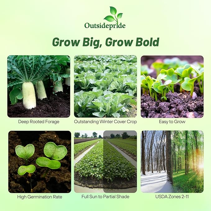 Outsidepride Annual Daikon Radish Seeds - 5 lbs. Chinese, Japanese, & Oriental Radish Seeds for Soil Health, Erosion Control, & Soil Aeration - Ideal for Gardens, Cover Crops, Pastures, & Food Plots