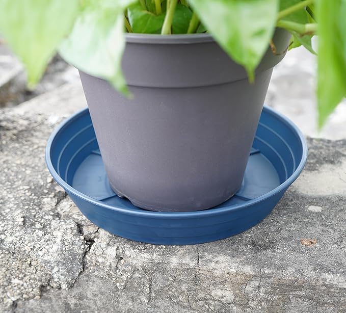 Plant Saucer 8 Inch 4 Pack 6 8 10 12 14 16 18 20 25, Plastic Plant Trays for Pots，Extra-Deep Plant Water Dray Tray, Bird Bath Bowl, Heavy Flower Plant saucers Indoors and Outdoor No Holes 8in-4 blue
