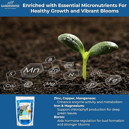 20-20-20 Water-Soluble Fertilizer – Powder for Liquid Plant Food for Indoor & Outdoor Plants, Orchids, Vegetables, Lawns, Flowers – 20 20 20 Fertilizer 2 Quarts (4 lbs)