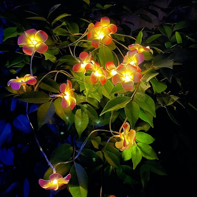 Solar Flowers Outdoor Waterproof - Petunia Blue Morning Glory Flowers&Solar Moth Orchid String Lights 12.5ft 10 LED Phalaenopsis Flower Solar Fairy Lights