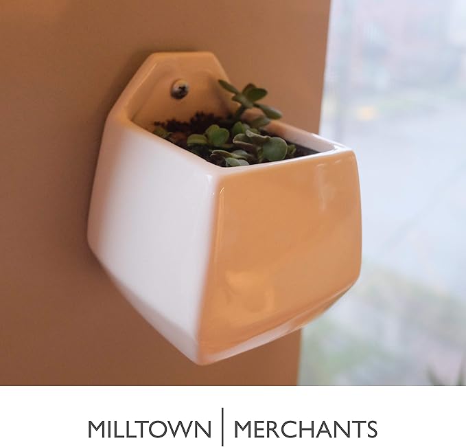 Milltown Merchants Succulent Wall Planter - Black Ceramic Planter - Succulent Plant Pot - Hanging Vase for Living Wall (1 Pack/Contemporary/White)