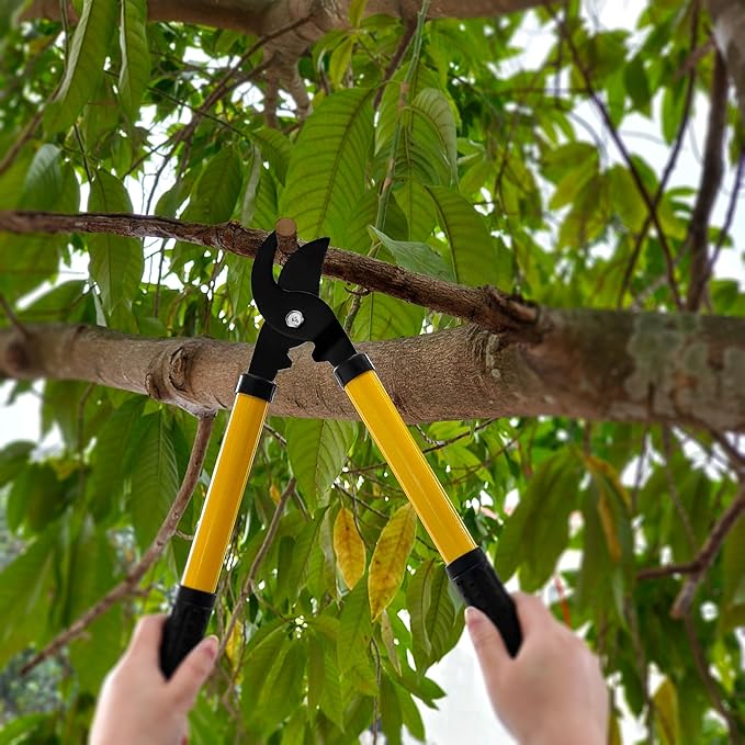 41-Piece Premium Gardening Tool Set, Stainless Steel Heavy Duty Gardening Tool Kit, with Non-Slip Rubber Grip, Storage Tote Bag, Outdoor Hand Tools, Ideal Gardening Gifts for All (Green/Grey)