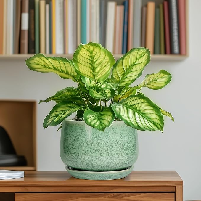 G EPGardening Ceramic Pots for Plants - 6 Inch Plant Pot with Drainage Hole and Saucer, Modern Ceramic Planter for Indoor Outdoor, Round Flower Planter, Gifts for Plants Lovers, Home Decor, Green