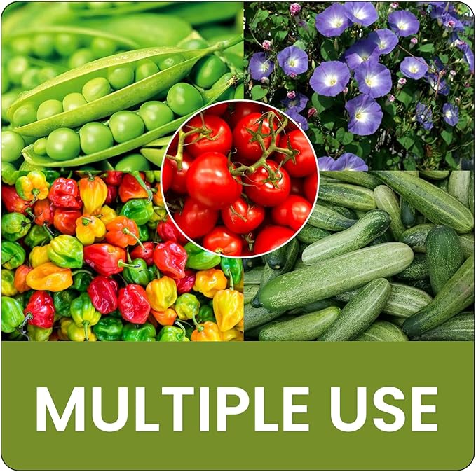 Raised Garden Bed with Tomato Planter Box Trellis