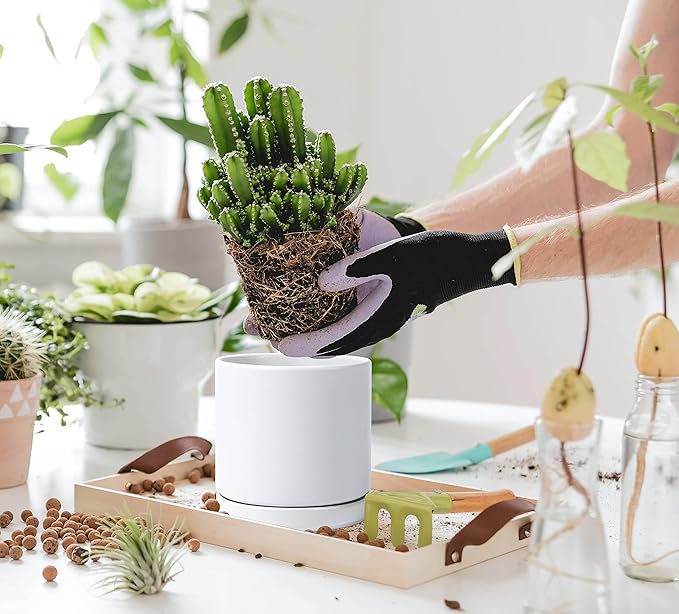 D'vine Dev Set of 2 Plants Pots, 6 Inch Ceramic Planter Pot for Plants with Drainage Hole and Saucer, White, 94-V-C-1