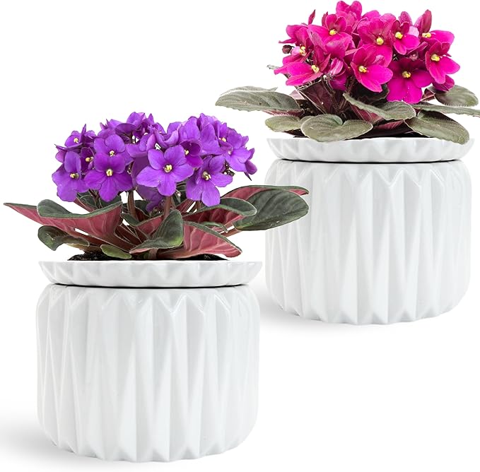6 inch Self Watering Pot for Indoor Plants, African Violet Pot Ceramic, Flowers Planter (4 inch Opening), Holds 3 Weeks of Water (2 Pack White)
