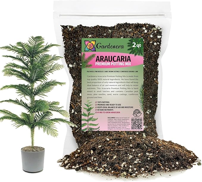 Premium Araucaria Potting Soil Mix - Perfect Balance of Nutrients, Drainage, and Aeration for Healthy Araucaria Trees - 2 Quart