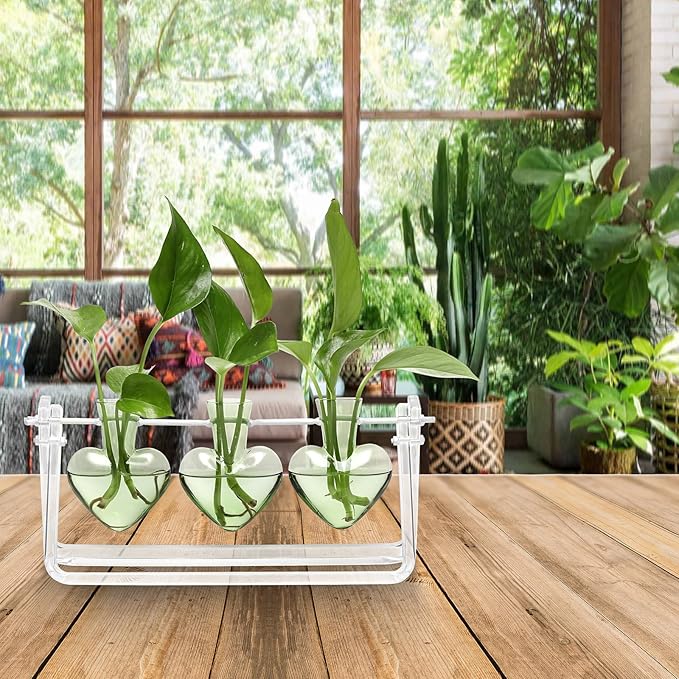 Plant Terrarium Propagation Stations with Wooden Stand Birthday Gifts for Women Plant Stand Indoor Office Home Decor