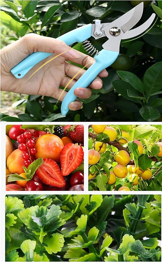 Blue Garden Flower Shears Pruning Shears 6.9 inches Scissors Heavy Duty Plant Scissors for Cutting Flowers, Trimming Plants, Bonsai, Fruits Picking (Blue Handle)