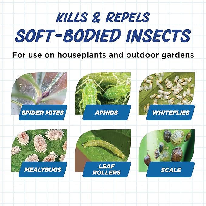 Earth's Ally Insect Control Concentrate for Plants 32 oz | Safe Outdoor & Indoor Plant Insecticide, Spider Mite, Aphid & Mealybug Killer - for Organic Garden & Household Plants