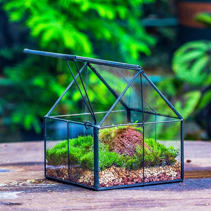 NCYP Mini Glass Geometric Terrarium with Lid - 4.25" x 4.25" x 4.92" Small House Shape Close Planter Pot for Succulents Plant - Handmade, Home Garden Office Tabletop Decor, Black (Terrarium Only)
